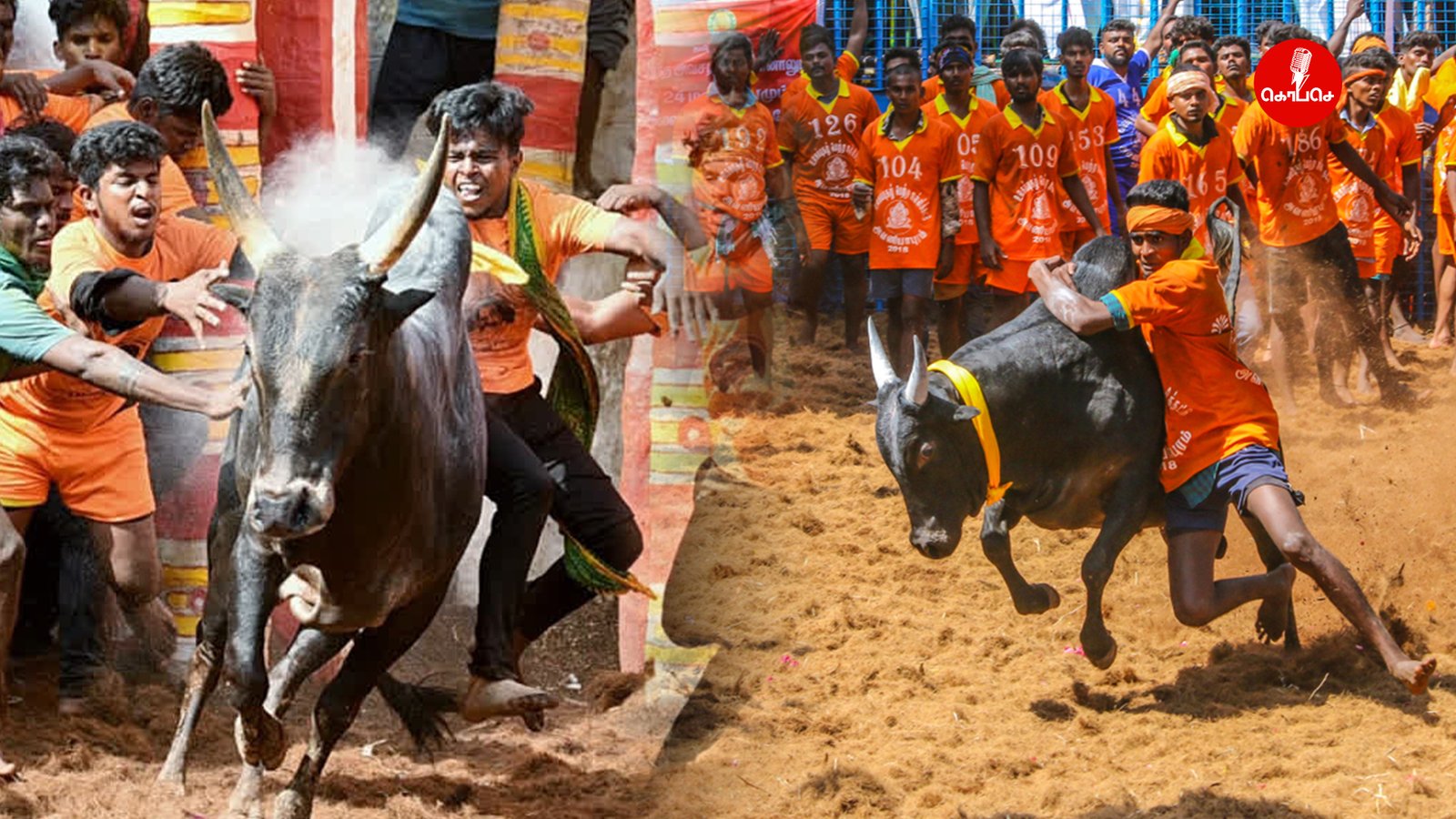 ஜல்லிக்கட்டு: தடைகளை தகர்த்தெறிந்து வரலாறு படைத்துக் கொண்டிருக்கும் தமிழர்களின் வரலாற்று மிக்க வீர விளையாட்டு.