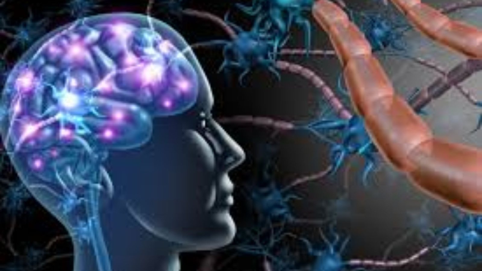 மருத்துவ உலகில் ஒரு புரட்சி! ஜப்பானிய விஞ்ஞானிகள் உருவாக்கிய செயற்கை மூளைச் சுற்றுகள் – ஆட்டிசம் சிகிச்சைக்குப் புதிய வழி