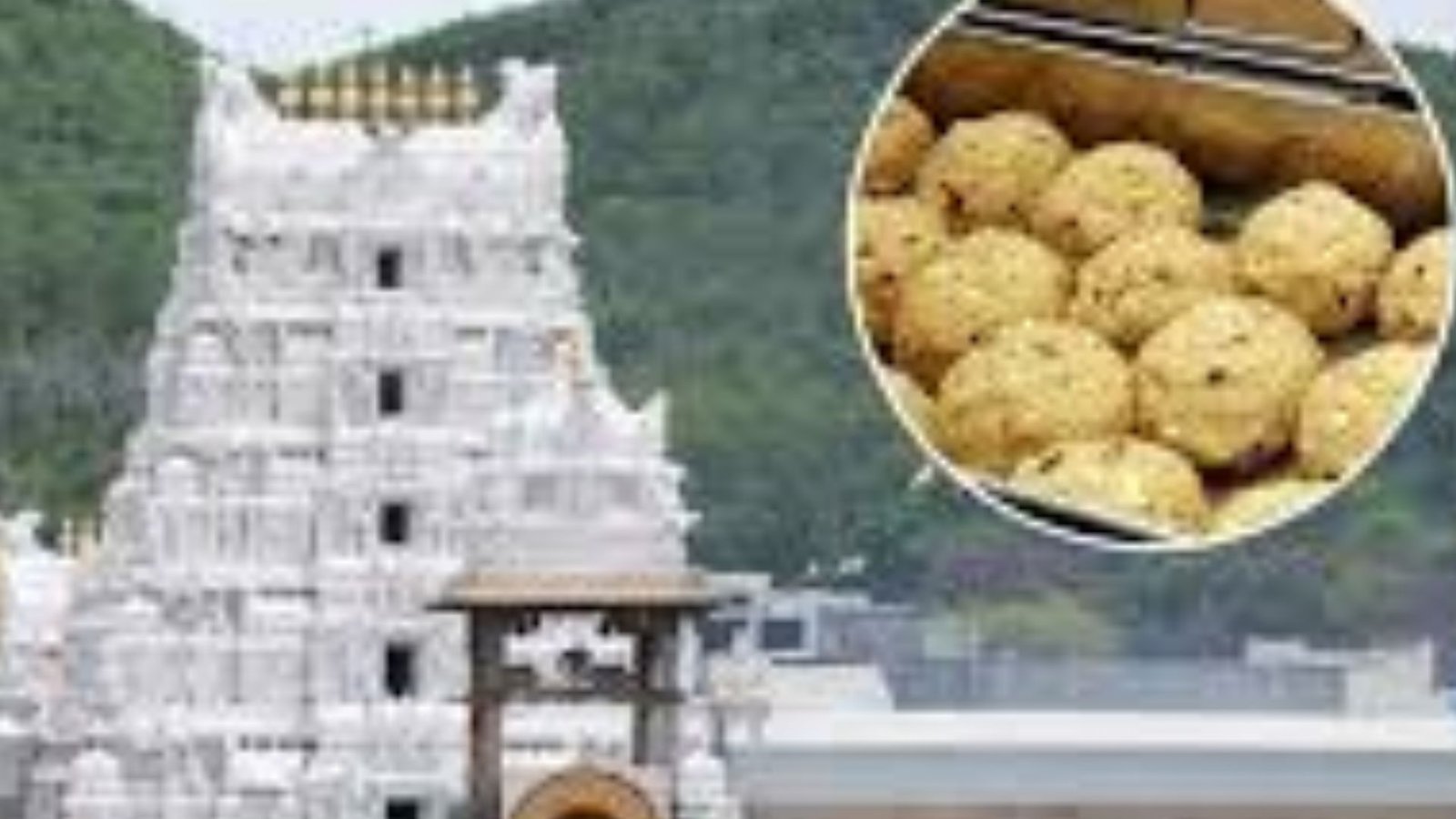 திருப்பதி லட்டு மோசடி: சிபிஐ விசாரணையில் வெளியான திடுக்கிடும் உண்மைகள்