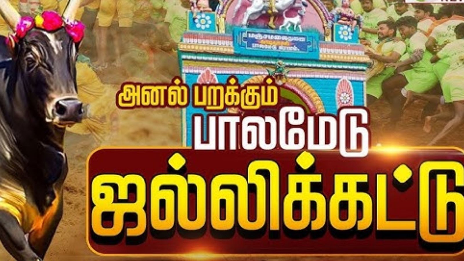 பாலமேடு ஜல்லிக்கட்டு: சீறிப்பாய்ந்த காளைகள்… சிலிர்த்து நின்ற வீரர்கள்! கோலாகலத் தொடக்கம்!