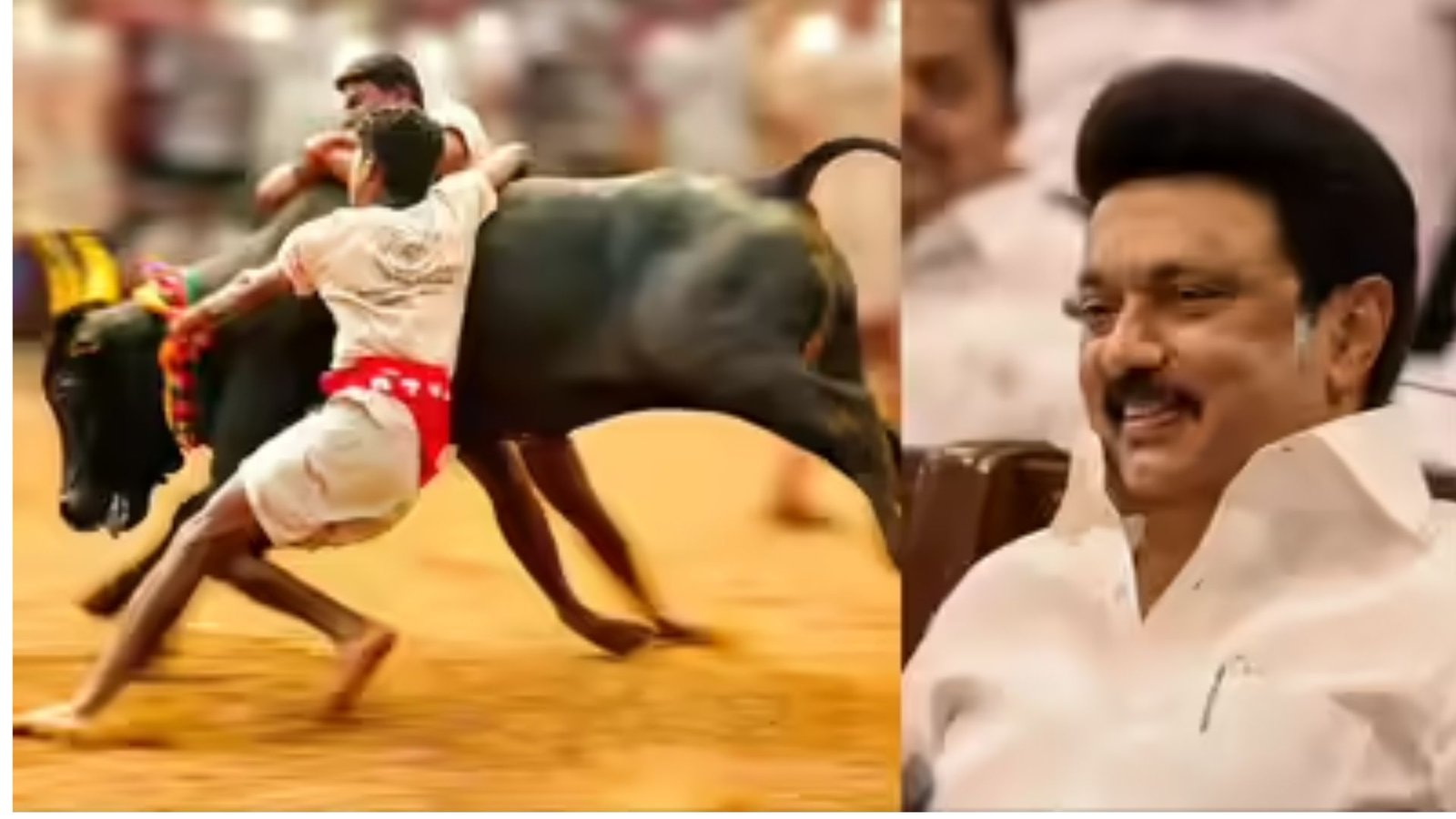 அலங்காநல்லூர் ஜல்லிக்கட்டு: வீரர்களுக்குப் பணி நியமனம்! முதல்வர் ஸ்டாலினின் அதிரடி அறிவிப்புகள்!