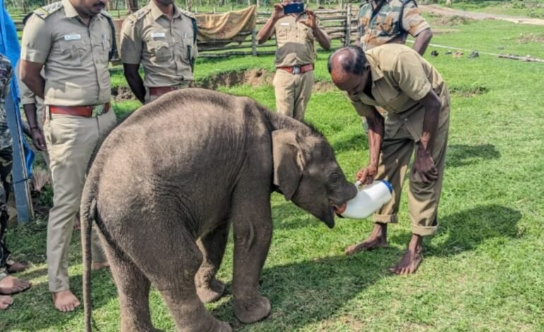 “கர்நாடக போலீசை பார்த்தா யானை ஓடுது; தமிழ்நாடு போலீசை துரத்துது!” – வன அதிகாரியை வெளுத்து வாங்கிய விவசாயி கன்னையன்!