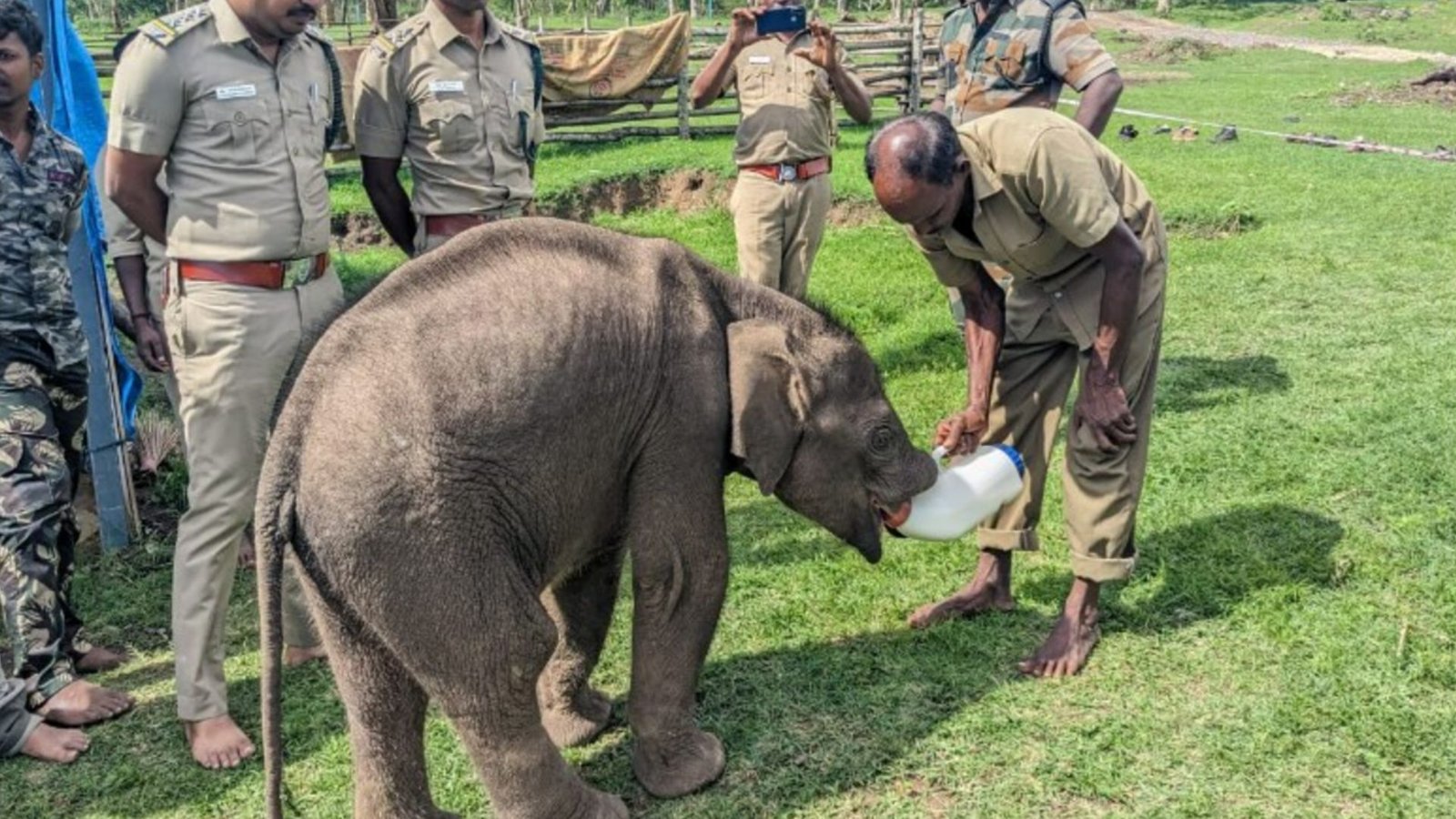 “கர்நாடக போலீசை பார்த்தா யானை ஓடுது; தமிழ்நாடு போலீசை துரத்துது!” – வன அதிகாரியை வெளுத்து வாங்கிய விவசாயி கன்னையன்!