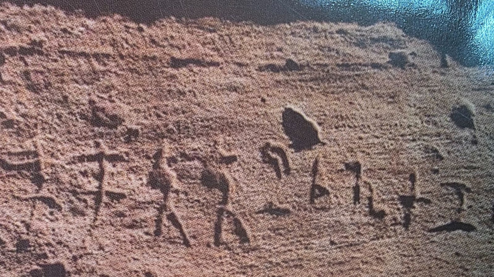 உலக நாகரிகங்களில் தமிழின் தடம்: எகிப்து பிரமிடுகளில் கண்டெடுக்கப்பட்ட 2000 ஆண்டு பழமையான தமிழ் கல்வெட்டுகள்!