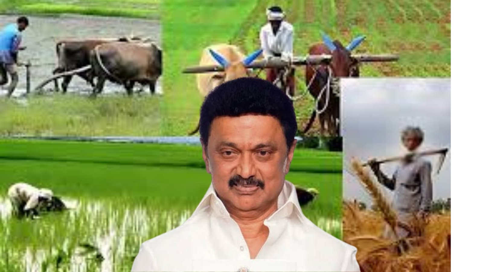 நடமாடும் உழவர் சந்தை: விவசாயிகளின் நலம் காக்க முதல்வர் ஸ்டாலின் புதிய முயற்சி!