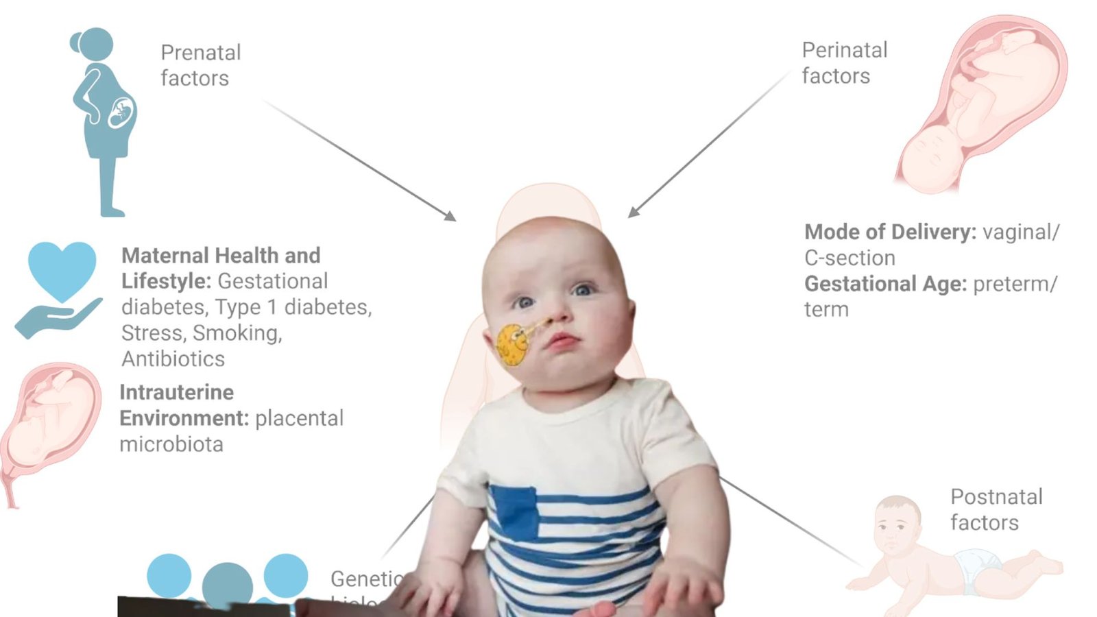 குழந்தைகளைப் பாதிக்கும் பரம்பரை ரத்தச் சோகை: தலசீமியா நோய் உருவாவதற்கான காரணங்களும் தீர்வுகளும்!