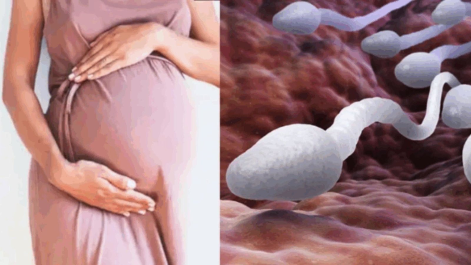 ஐதராபாத் அதிர்ச்சி: ஐவிஎஃப் (IVF) முறையில் பிறந்ததாகக் கூறி தம்பதியிடம் அரங்கேறிய ‘வாடகைத் தாய்’ மோசடி!