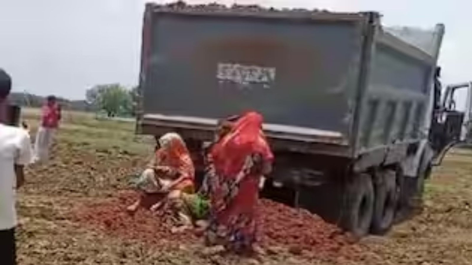 ரீவாவில் பயங்கரம்: நிலத்தகராறில் பெண்கள் மீது சரளைக் கற்களைக் கொட்டி புதைக்க முயற்சி! – வைரல் வீடியோவின் பின்னணி என்ன?