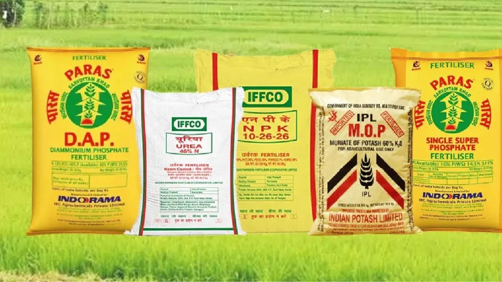 உரத் தட்டுப்பாடு அச்சத்தில் இந்திய விவசாயிகள்! – ஈரான் போர் எதிரொலியால் 50% உயர்ந்த விலை: ஒரு விரிவான பார்வை.