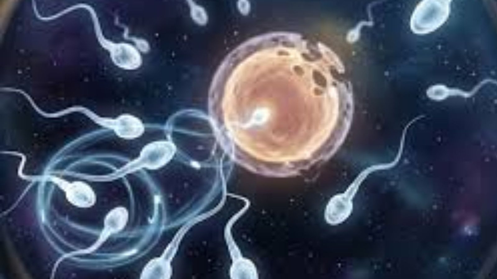 விண்வெளியில் இனப்பெருக்கம் சாத்தியமா? – அடிலெய்டு பல்கலைக்கழக ஆய்வின் அதிரடி முடிவுகள்.
