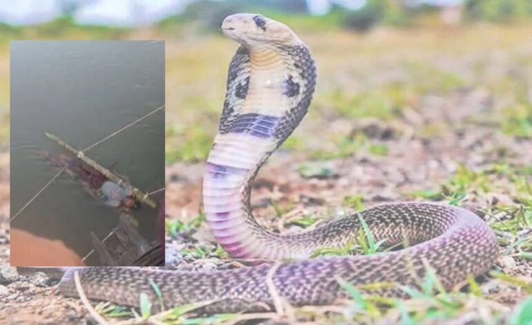 மூடநம்பிக்கைக்குப் பலியான 14 வயது சிறுவன்! கங்கை நீரில் மிதக்கவிட்ட அவலம் – உத்தரப் பிரதேசத்தில் அதிர்ச்சி.