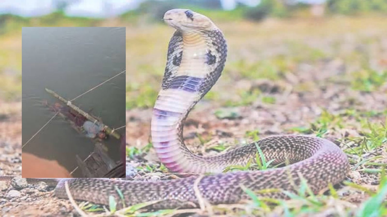 மூடநம்பிக்கைக்குப் பலியான 14 வயது சிறுவன்! கங்கை நீரில் மிதக்கவிட்ட அவலம் – உத்தரப் பிரதேசத்தில் அதிர்ச்சி.