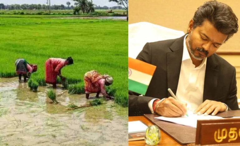 விவசாயிகளுக்கு ‘அல்வா’ கொடுத்துவிட்டாரா விஜய்? கூட்டுறவு வங்கிக் கடன் தள்ளுபடி அறிவிப்பால் டெல்டாவில் கொந்தளிப்பு!