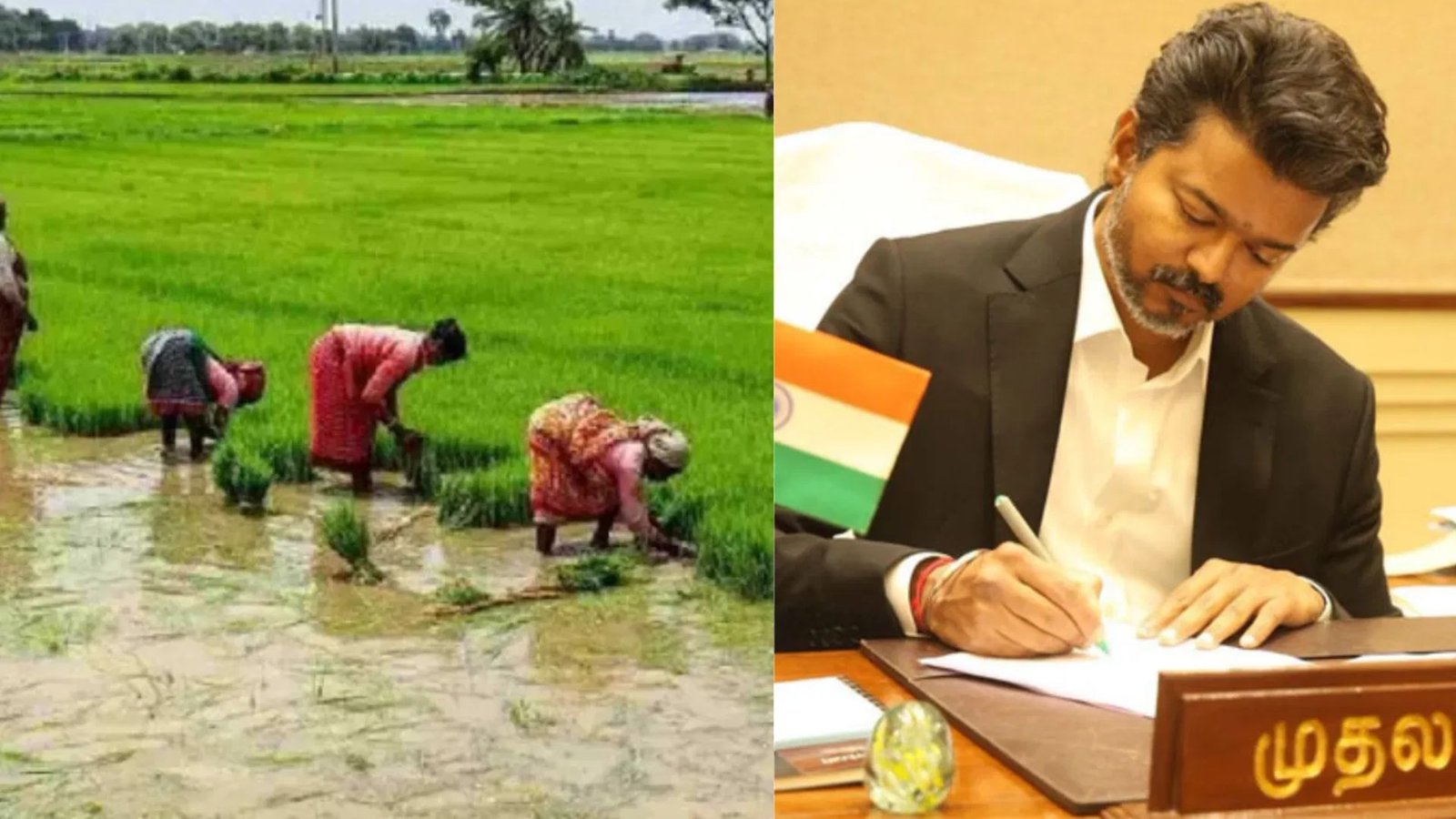 விவசாயிகளுக்கு ‘அல்வா’ கொடுத்துவிட்டாரா விஜய்? கூட்டுறவு வங்கிக் கடன் தள்ளுபடி அறிவிப்பால் டெல்டாவில் கொந்தளிப்பு!