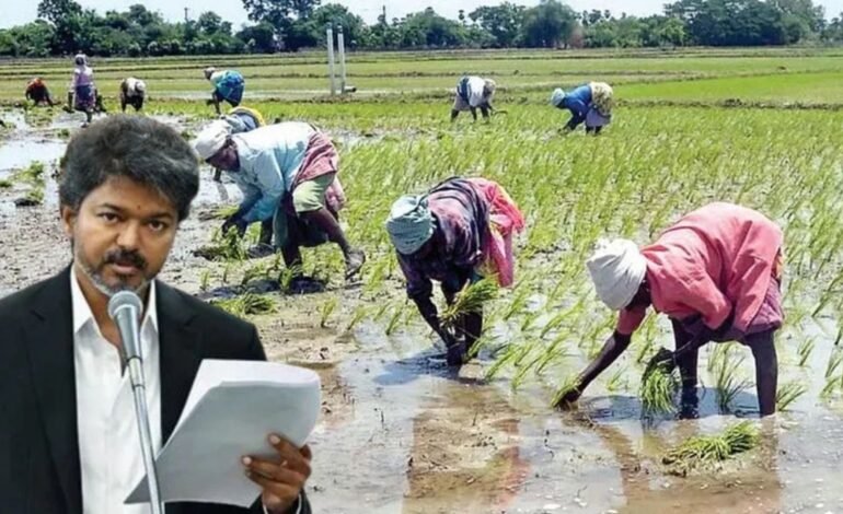 விவசாயிகளுக்கு ஜாக்பாட்! ரூ.134.83 கோடியில் குறுவை சிறப்புத் தொகுப்புத் திட்டம்! முதல்வர் விஜய் அதிரடி அறிவிப்பு!