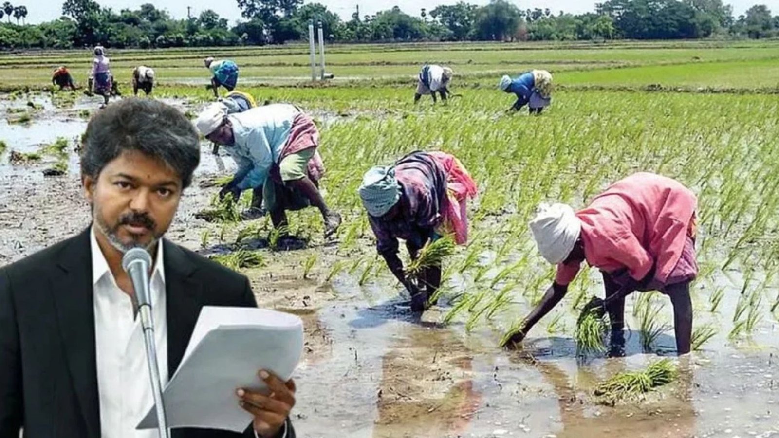விவசாயிகளுக்கு ஜாக்பாட்! ரூ.134.83 கோடியில் குறுவை சிறப்புத் தொகுப்புத் திட்டம்! முதல்வர் விஜய் அதிரடி அறிவிப்பு!