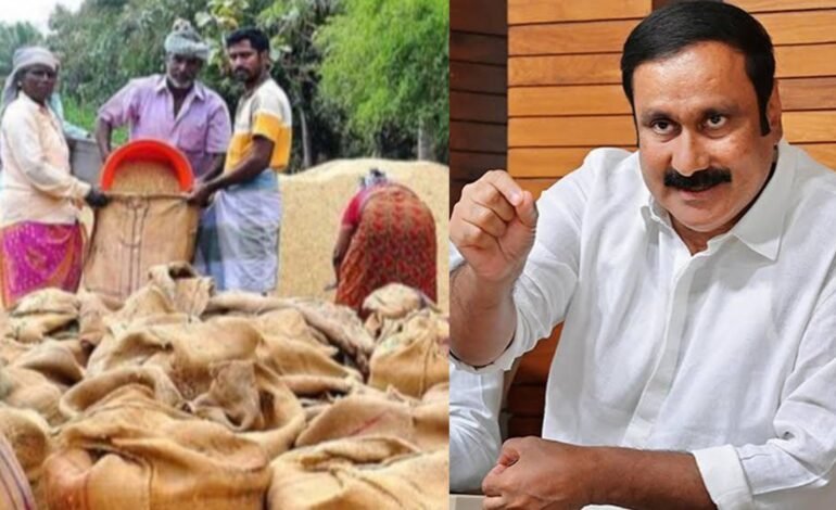 தவெக அரசைச் சாடிய அன்புமணி! “நெல் கொள்முதல் நிலையங்களில் தொடரும் லஞ்சக் கொள்ளை!” – உழவர்களைச் சுரண்டுவதை வேடிக்கை பார்க்க முடியாது எனப் பாமக ஆக்ரோஷம்!