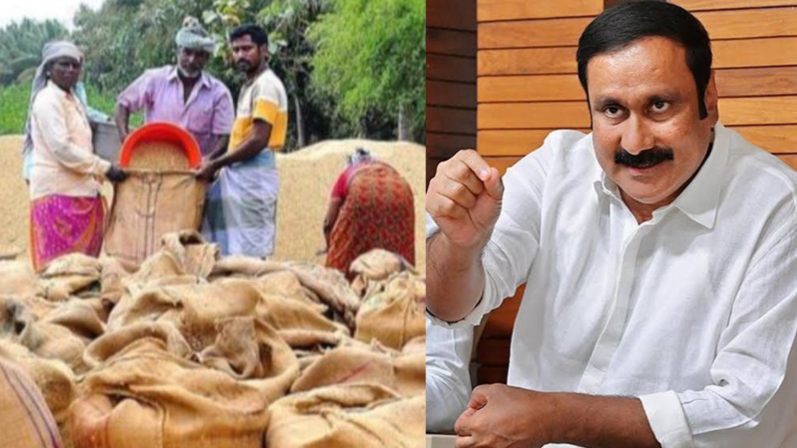 தவெக அரசைச் சாடிய அன்புமணி! “நெல் கொள்முதல் நிலையங்களில் தொடரும் லஞ்சக் கொள்ளை!” – உழவர்களைச் சுரண்டுவதை வேடிக்கை பார்க்க முடியாது எனப் பாமக ஆக்ரோஷம்!