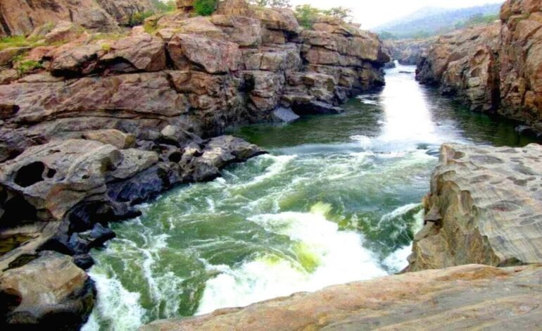 மேகதாது அணை திட்ட அறிக்கை நிராகரிப்பு! கர்நாடக அரசுக்கு மத்திய நீர்வள ஆணையம் அதிரடி உத்தரவு!