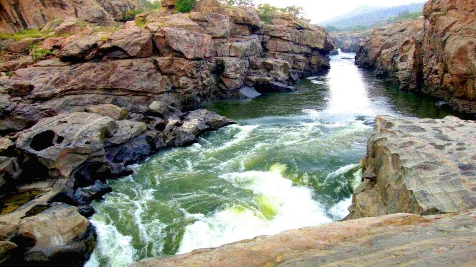 மேகதாது அணை திட்ட அறிக்கை நிராகரிப்பு! கர்நாடக அரசுக்கு மத்திய நீர்வள ஆணையம் அதிரடி உத்தரவு!