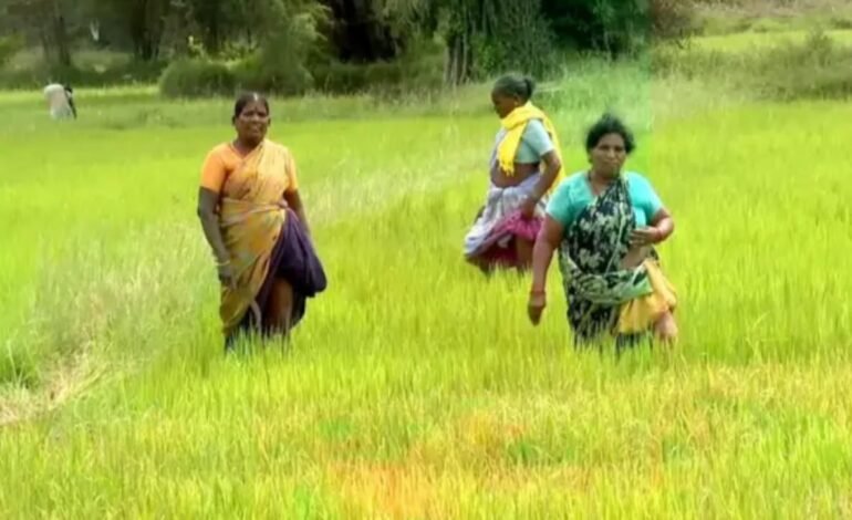 “பரந்தூர் நிலங்களை விவசாயிகளிடம் ஒப்படைக்க வேண்டும்!” – சிபிஐ(எம்) மாநிலச் செயலாளர் சண்முகம் கண்டனம்!