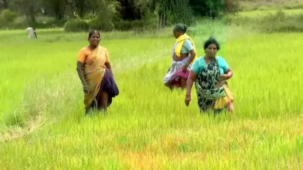 “பரந்தூர் நிலங்களை விவசாயிகளிடம் ஒப்படைக்க வேண்டும்!” – சிபிஐ(எம்) மாநிலச் செயலாளர் சண்முகம் கண்டனம்!