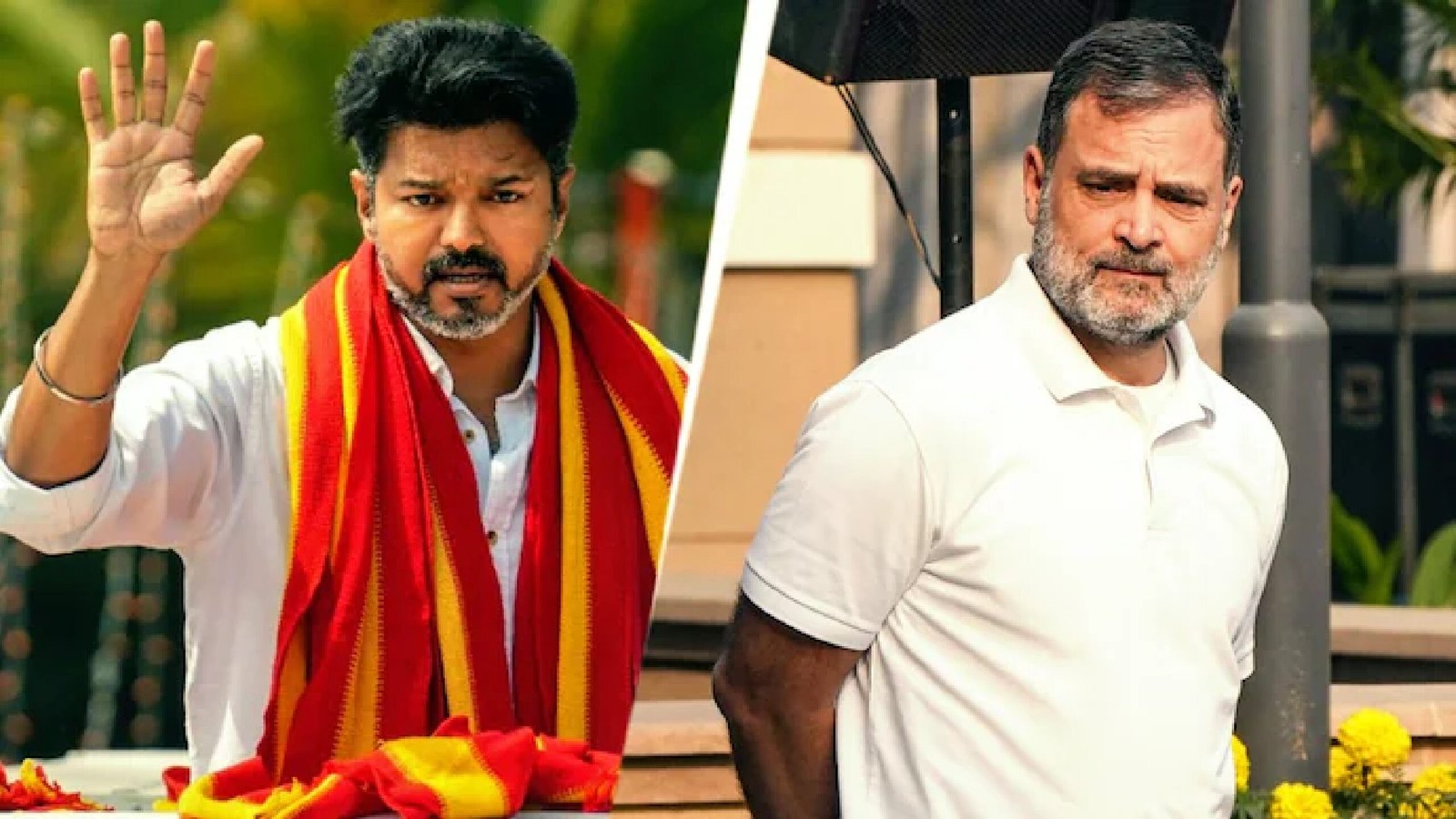 ராகுல் காந்தியை சந்திக்கிறாரா விஜய்? தவெக – காங்கிரஸ் உறவில் நடப்பது என்ன?